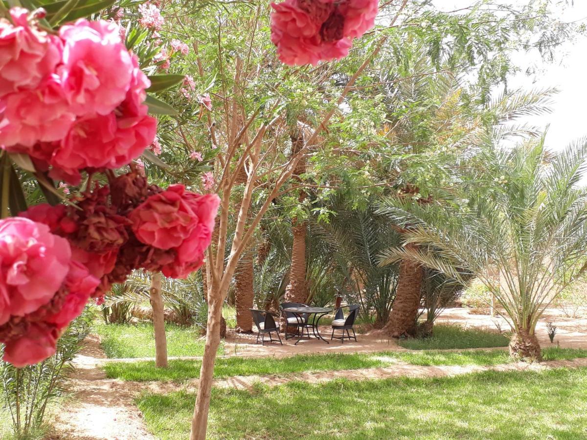 Dar Paru Bed & Breakfast M'Hamid Bagian luar foto