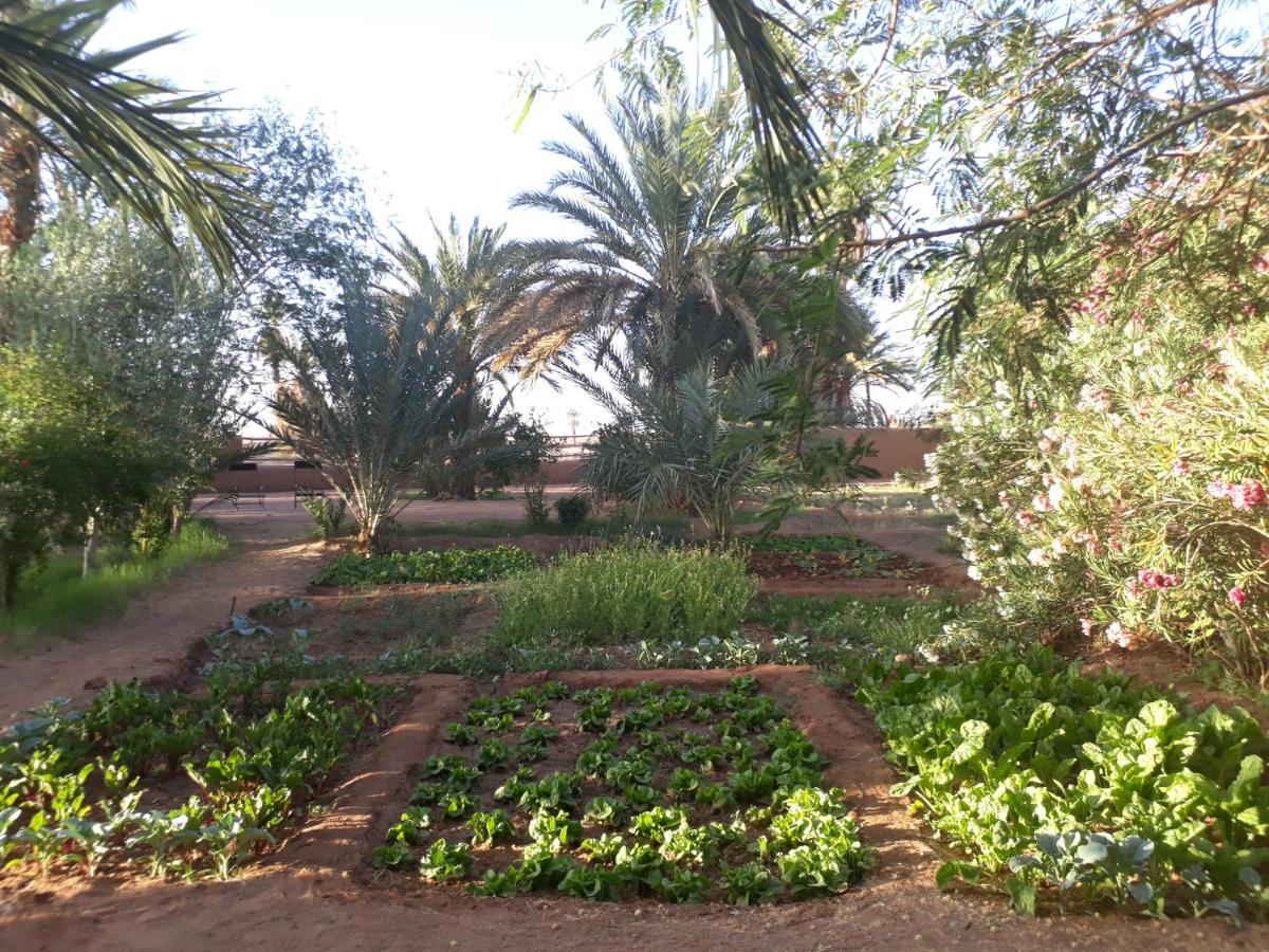 Dar Paru Bed & Breakfast M'Hamid Bagian luar foto
