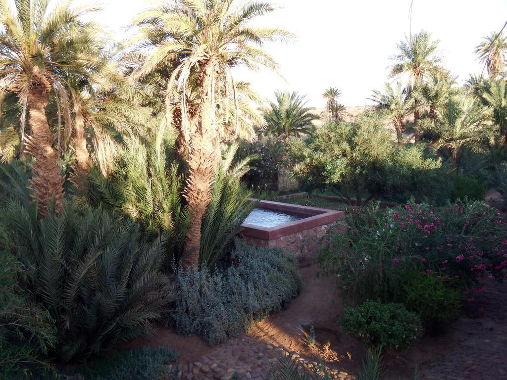Dar Paru Bed & Breakfast M'Hamid Bagian luar foto