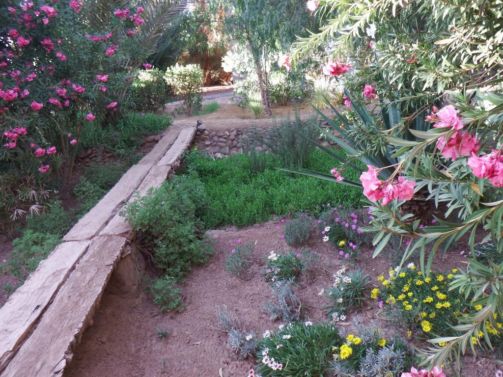 Dar Paru Bed & Breakfast M'Hamid Bagian luar foto