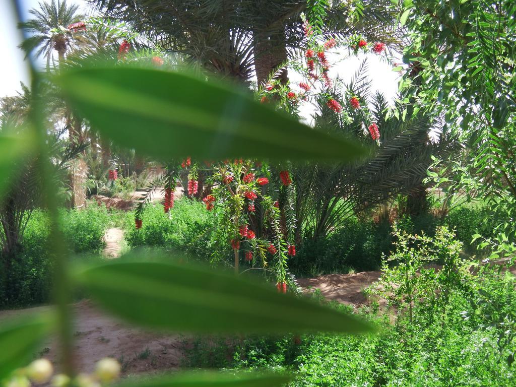 Dar Paru Bed & Breakfast M'Hamid Bagian luar foto