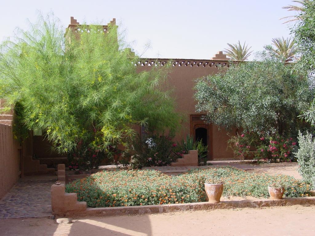 Dar Paru Bed & Breakfast M'Hamid Bagian luar foto