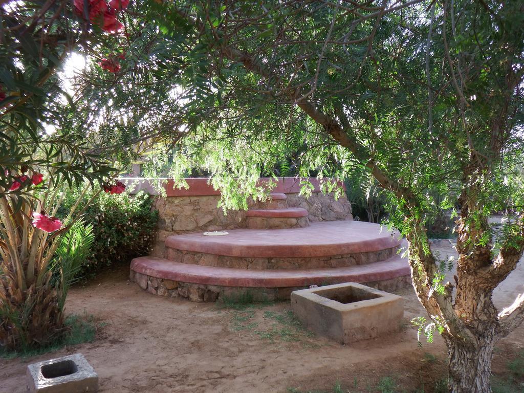 Dar Paru Bed & Breakfast M'Hamid Bagian luar foto