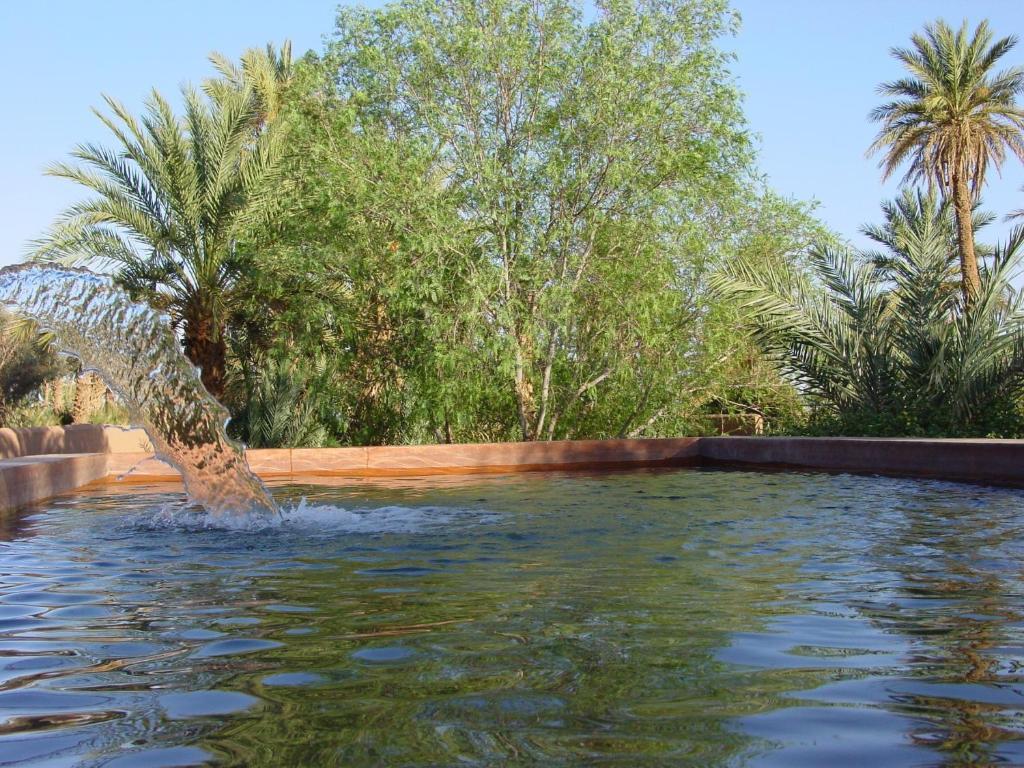 Dar Paru Bed & Breakfast M'Hamid Bagian luar foto