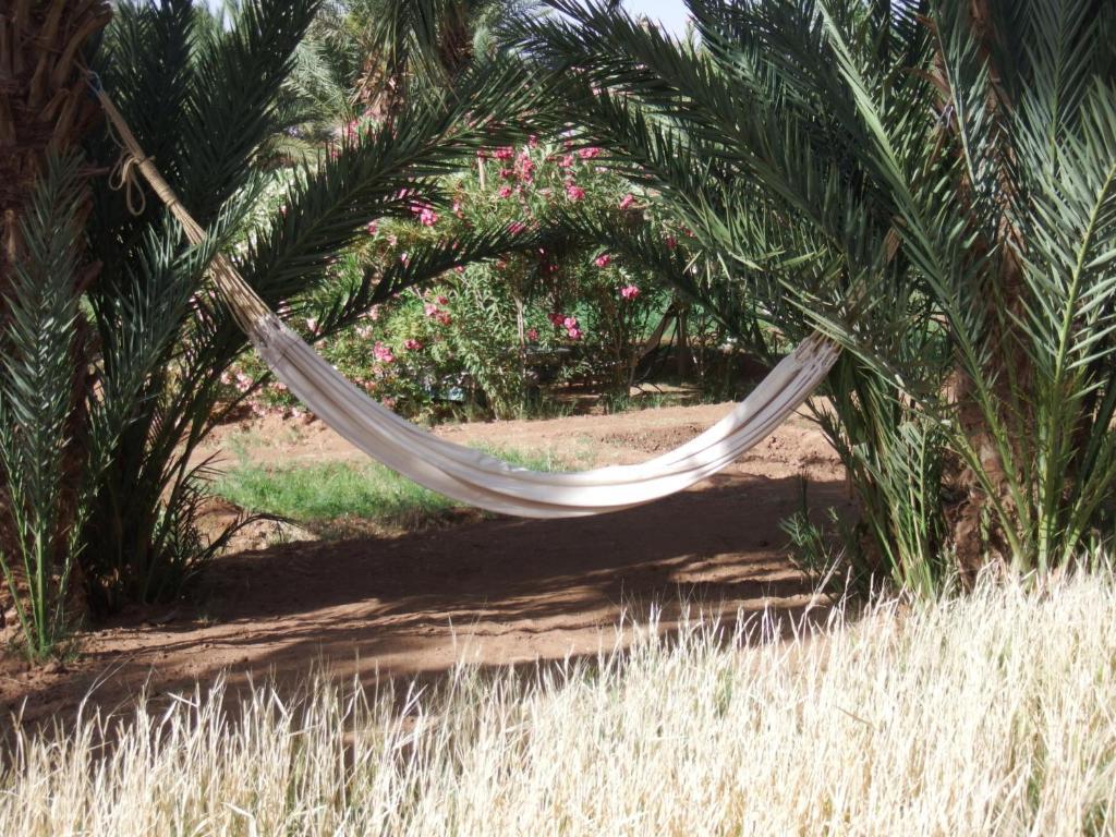 Dar Paru Bed & Breakfast M'Hamid Bagian luar foto