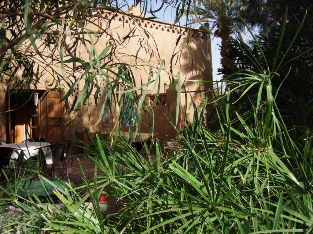 Dar Paru Bed & Breakfast M'Hamid Bagian luar foto